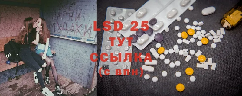 darknet телеграм  Пошехонье  LSD-25 экстази ecstasy 